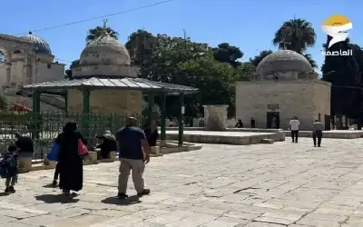 اعتقال الناشط المقدسي أبو دياب.. دعوات