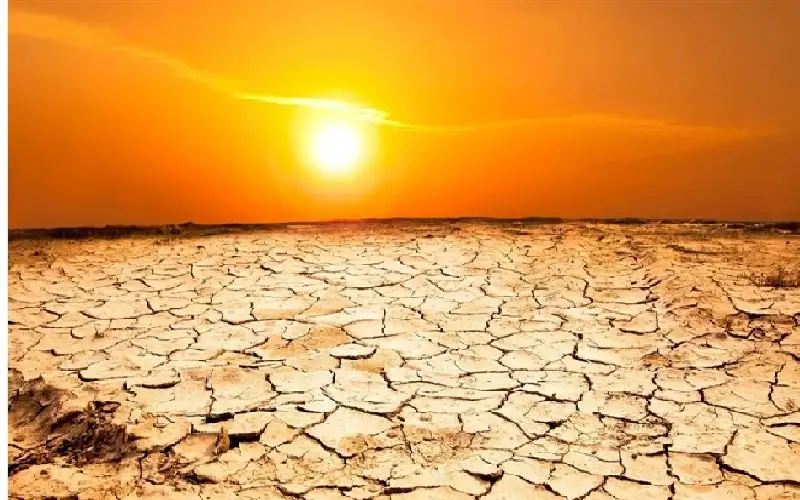 قبل كوب 29.. 2024 سيكون العام