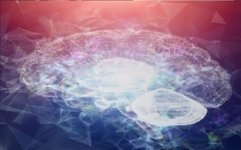 الذاكرة لا تقتصر على الدماغ فقط