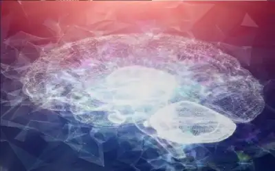 الذاكرة لا تقتصر على الدماغ فقط