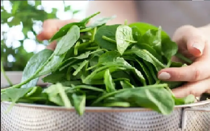 هذا ما يحدث للجسم عند نقص