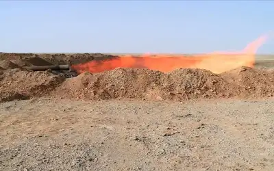 الشوبكي: كميات الغاز المعلنة تكفي الأردن