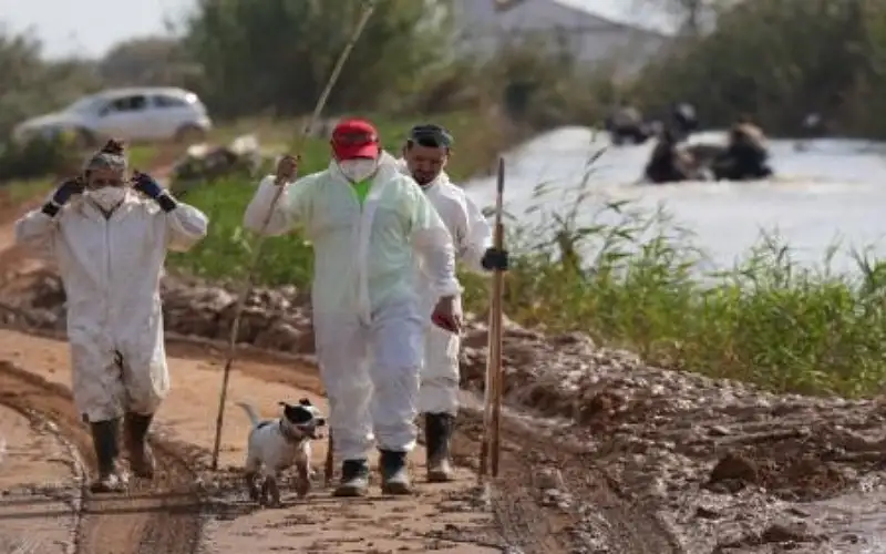 روائح كريهة وقلق من انتشار أمراض