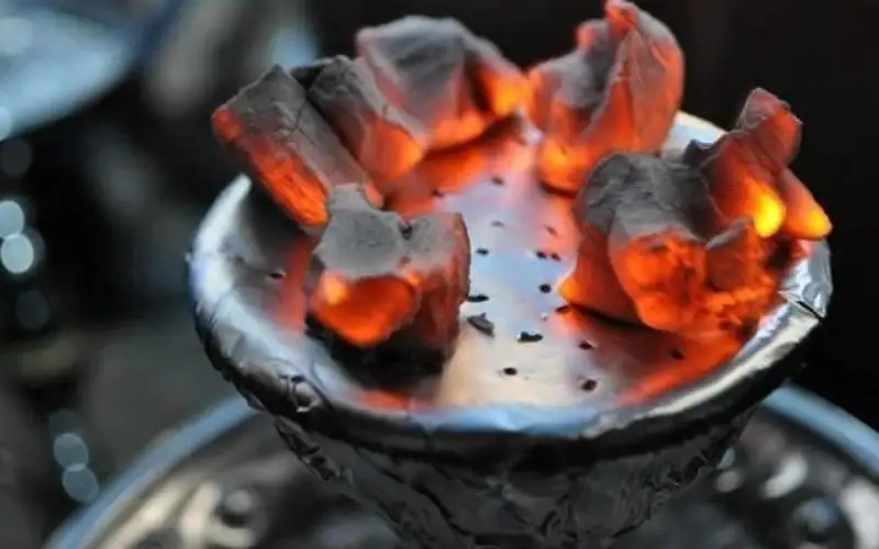 حسان يوجه لإعداد تعليمات خاصة لضبط