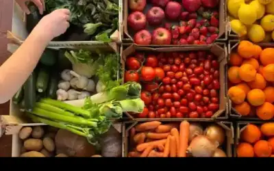 أسعار الخضار والفواكه في السوق المركزي