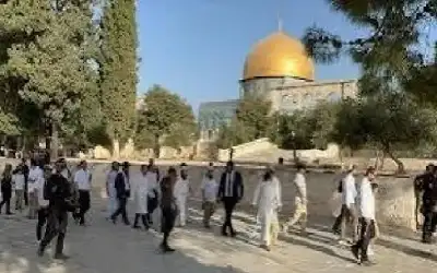 متروك وحيدا.. مستوطنون يقتحمون المسجد الأقصى