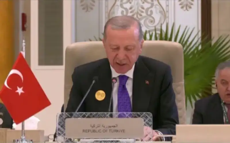 أردوغان: إسرائيل تعمل على إلغاء حل