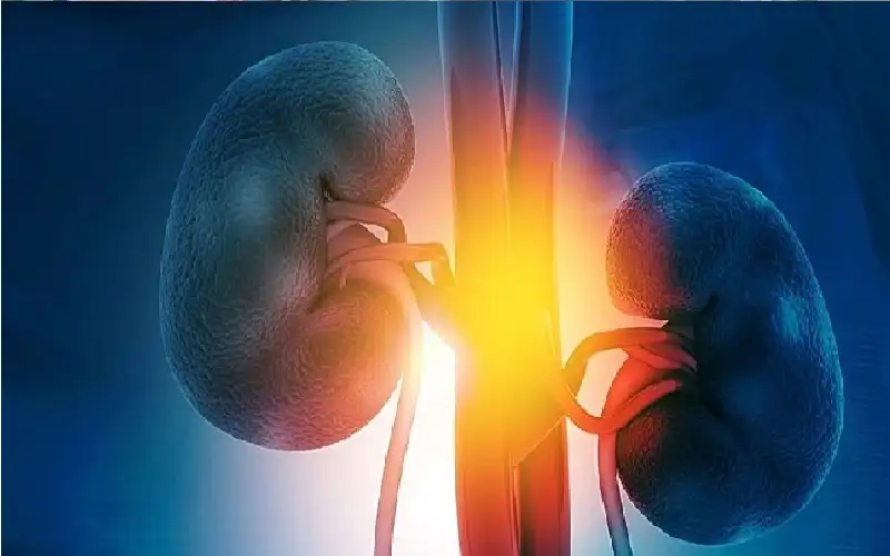 اجتماع أمراض الكلى والسكري يقصر عمر