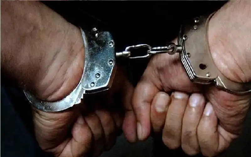 طعن والدته عشرات المرات حتى الموت