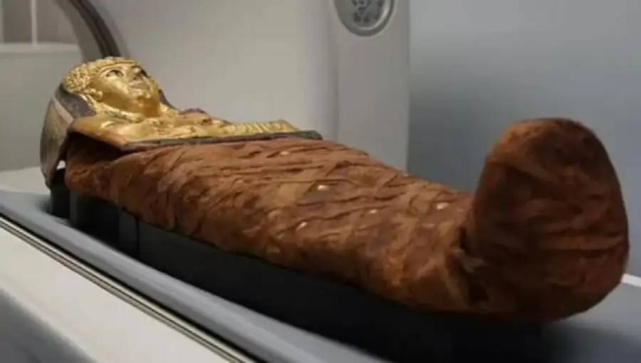 كيف وضعت داخل التابوت؟ .. فك