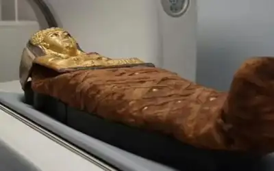 كيف وضعت داخل التابوت؟ .. فك