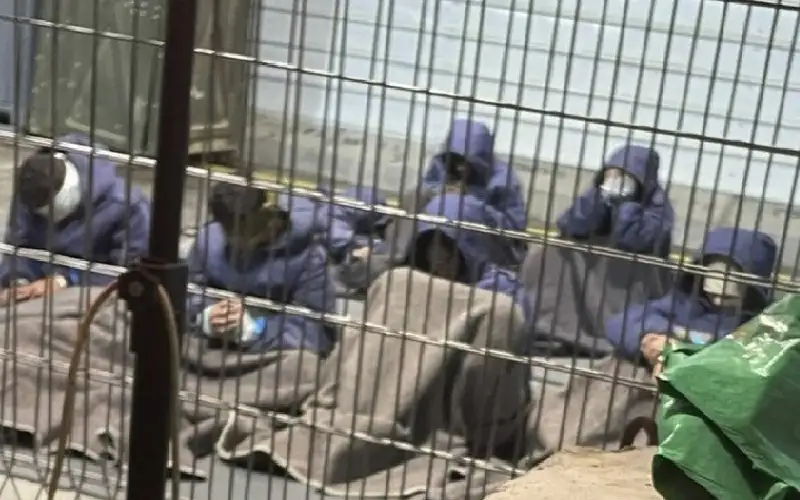 استشهاد أسيرين من نابلس وغزة في