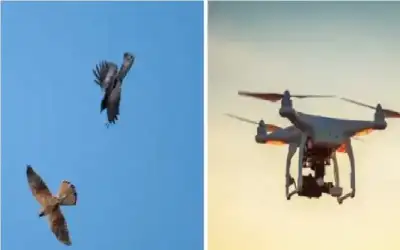 البطة الزومبي.. تصنيع مسيرات متطورة من