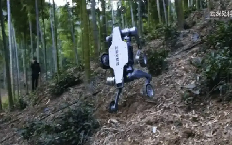 كلب آلي جديد ينضم إلى الأسطول