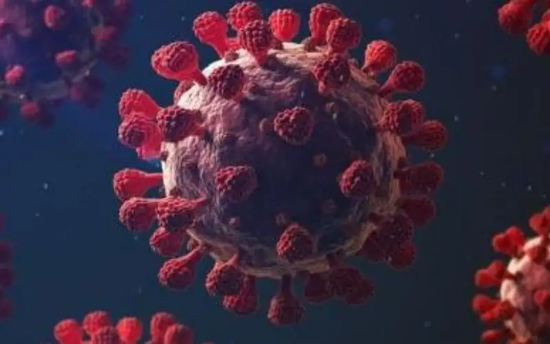 سلالة جديدة مروعة .. فيروس شديد