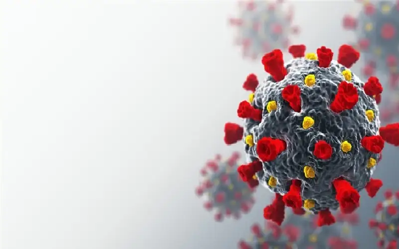 زيادة في تشوهات القلب لدى حديثي