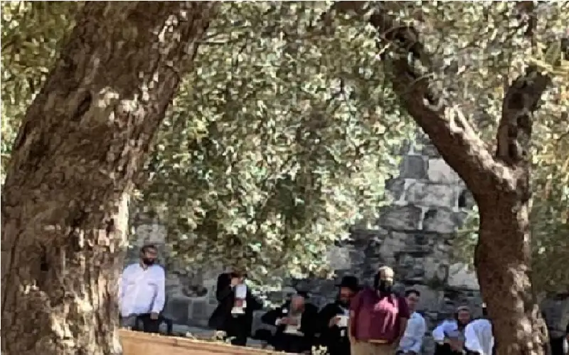 عشرات المستوطنين يقتحمون باحات الأقصى