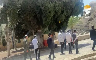 مستوطنون يقتحمون باحات الأقصى