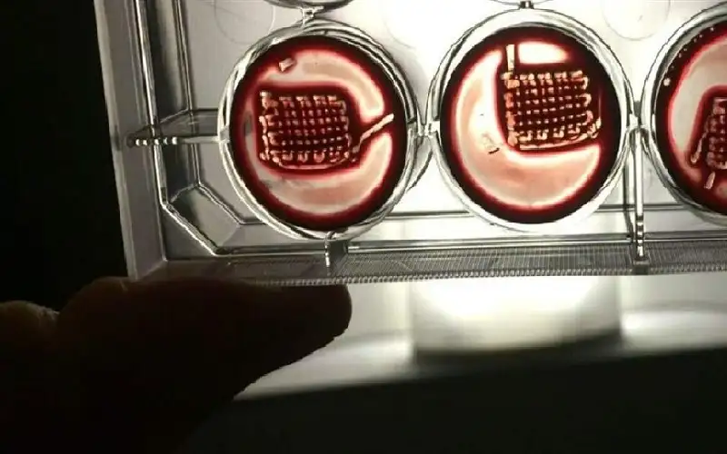 دراسة: دمك قد يكون الحل في