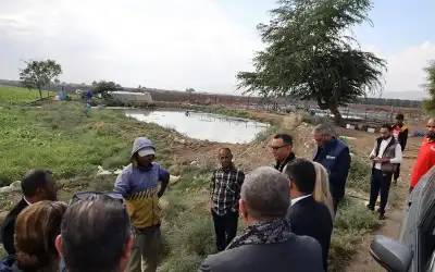 سلطة وادي الأردن ومنظمة الفاو تبحثان