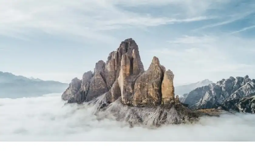 اكتشاف عالم بيئي متكامل عمره 280