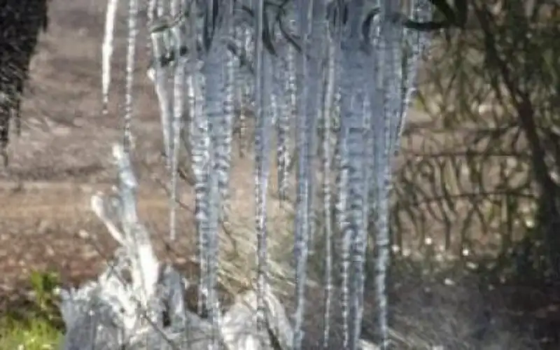 الارصاد تحذر من الصقيع صباح الاربعاء