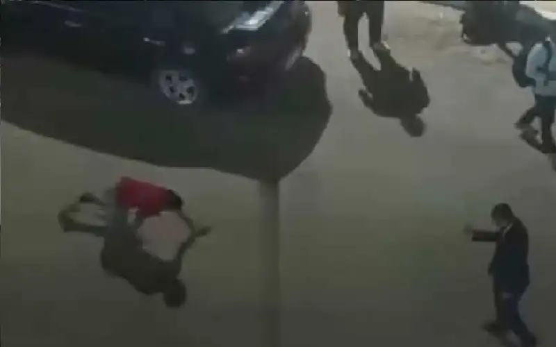 وما ادراك ما مصر.. أستاذ جامعي