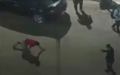 وما ادراك ما مصر.. أستاذ جامعي