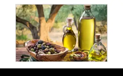 انطلاق فعاليات مهرجان الزيتون الوطني 24