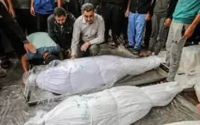 غزة .. 75 شهيدا في مجزرتين