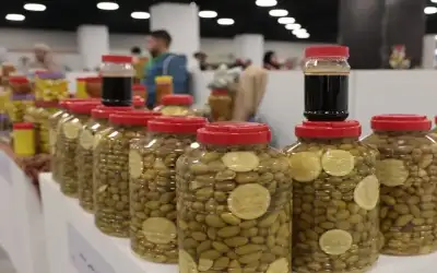 74559 زائرا لمهرجان الزيتون خلال يومين