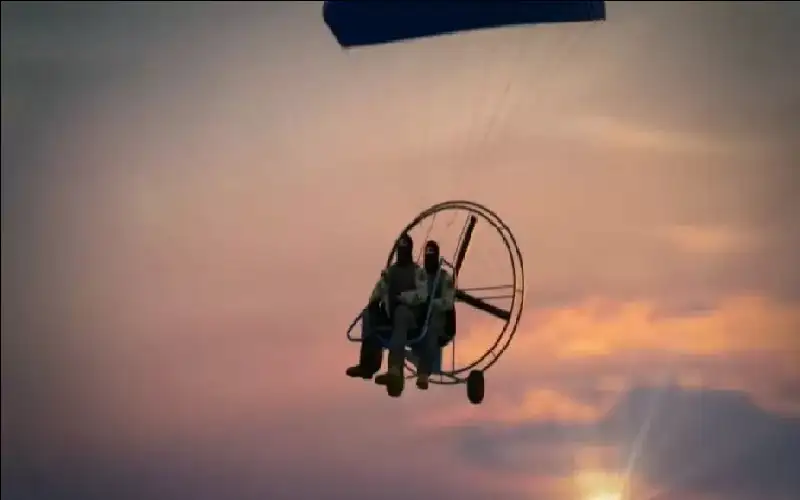 كل البجع أسود