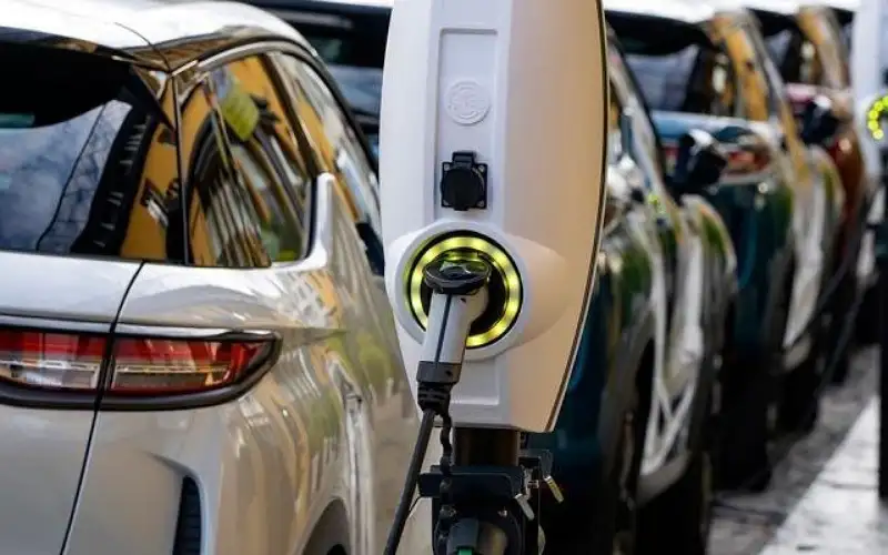 الجمارك : خطة طوارئ لتسريع التخليص