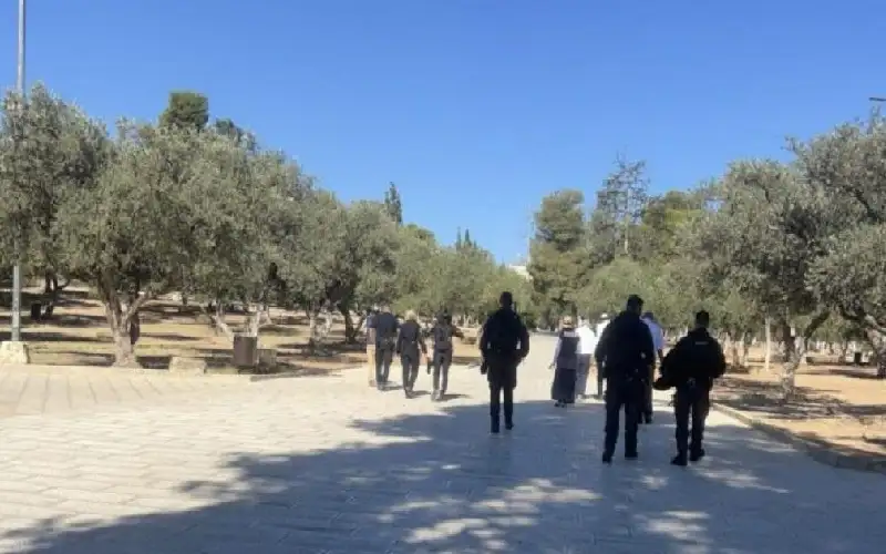 عشرات المستوطنين يقتحمون المسجد الأقصى