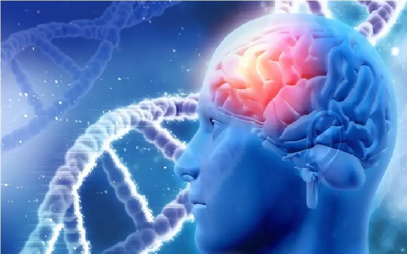 نوع من دهون الجسم يرتبط بالزهايمر..