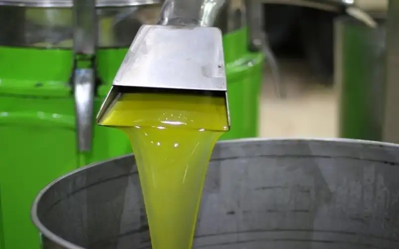 الزراعة تستبعد زيتا غير صالح للاستهلاك