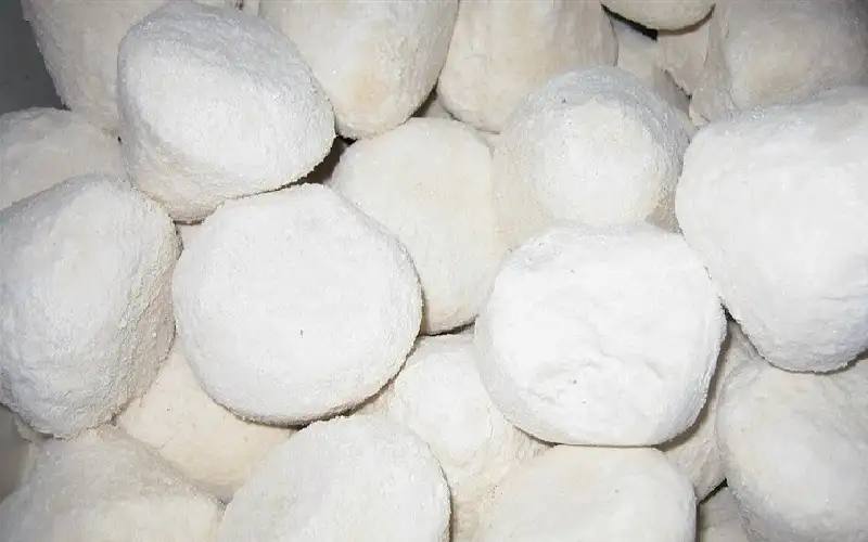 الزبادي المجفف: وجبة خفيفة مبتكرة أم