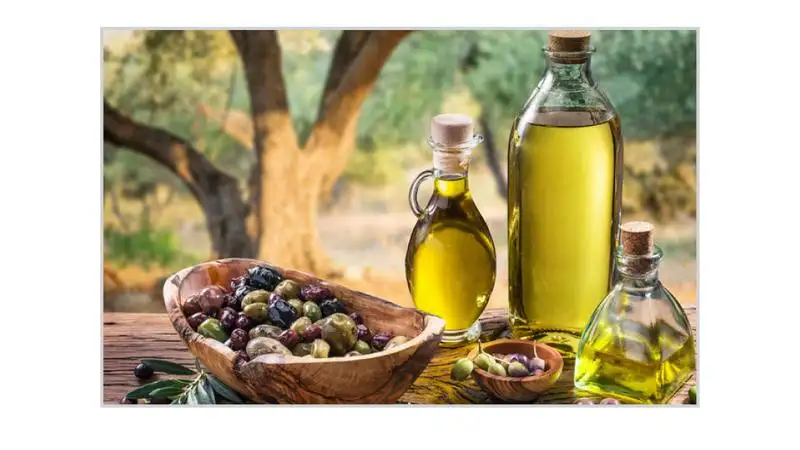 وزارة الزراعة: مبيعات مهرجان الزيتون أكثر