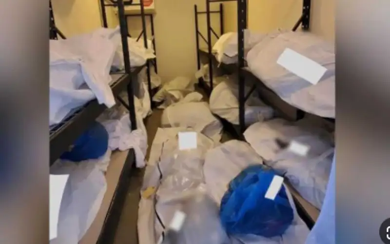 جثث معتقلين بسجن صيدنايا وحديث عن