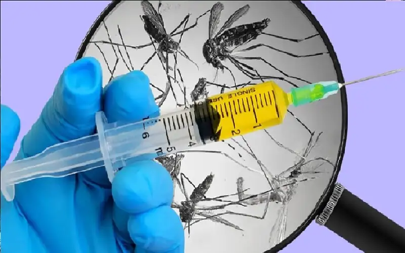 يعتمد على البعوض.. لقاح الملاريا المعدل