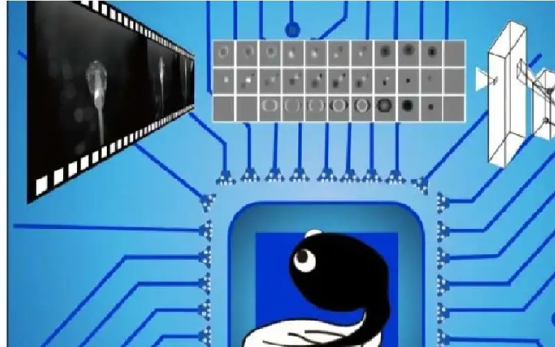 برنامج مبتكر يشاهد الفيديوهات بطريقة تحاكي