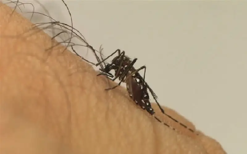 دراسة تكشف ظاهرة مناخية تتسبب في