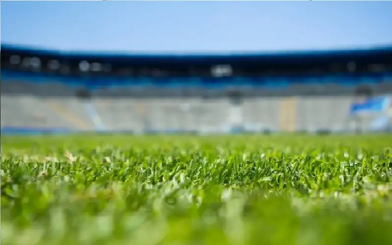 تصور حكومي لبناء ملعب تصل كلفتة