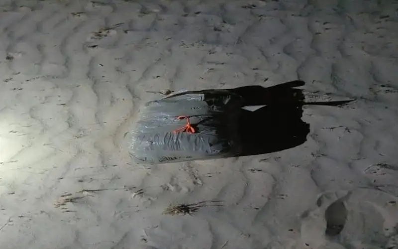 المجالي: أكثر من 250 مصنعا للمخدرات