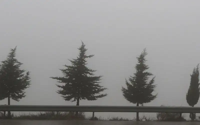 تحذير من تشكل الضباب خلال ساعات