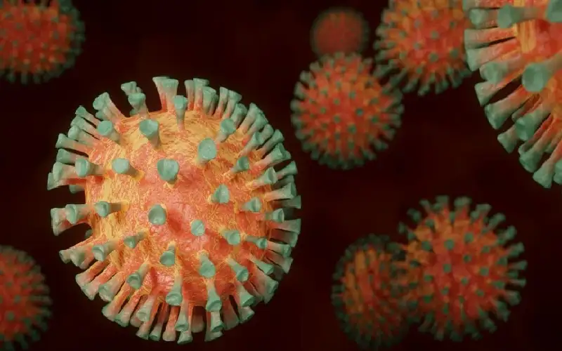 أستراليا: اختفاء فيروسات قاتلة قد تكون