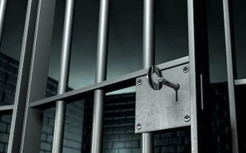 محررون من سجون الأسد عادوا إليها