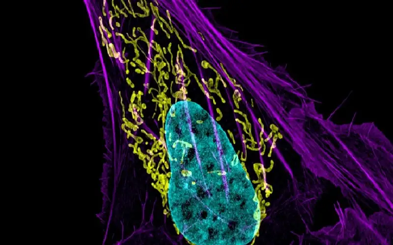 تقنية نانوية تدمر مراكز الطاقة في