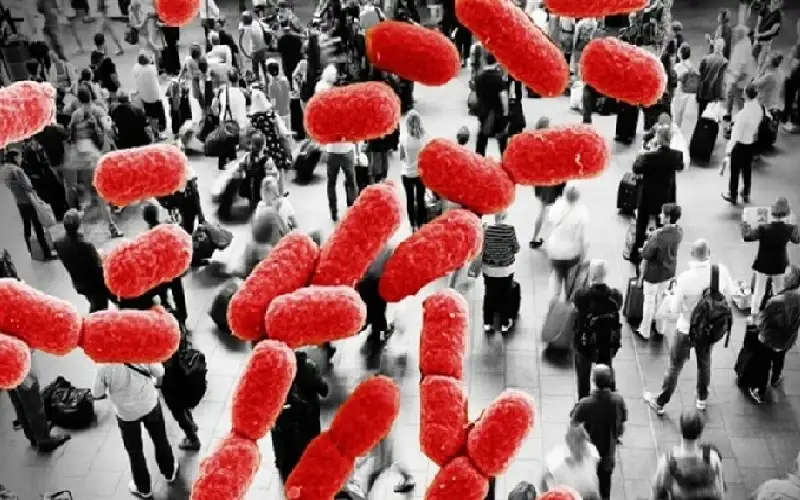 علماء يحذرون: بكتيريا مصنعة في المختبر