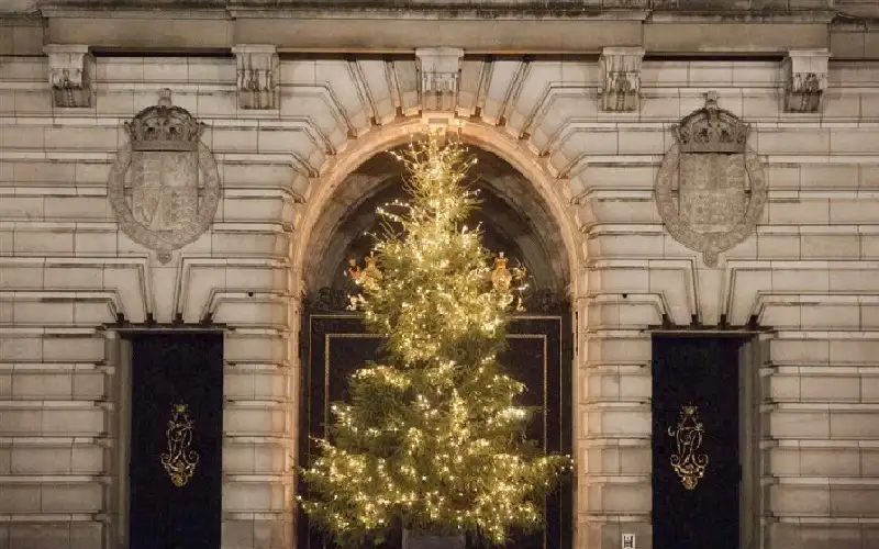 حفلة موظفي قصر باكنغهام تتحول إلى